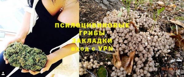 каннабис Новокубанск